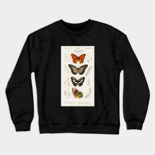 Collection of Butterflies Crewneck Sweatshirt